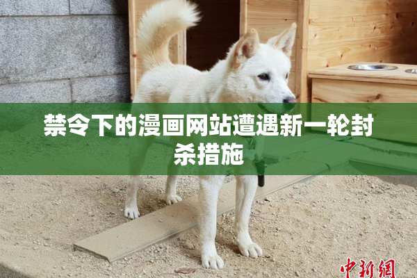 禁令下的漫画网站遭遇新一轮封杀措施