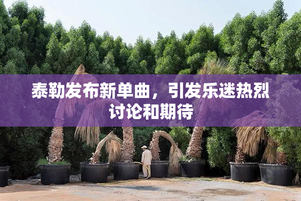 泰勒发布新单曲，引发乐迷热烈讨论和期待