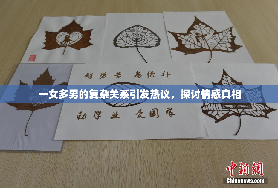 一女多男的复杂关系引发热议，探讨情感真相