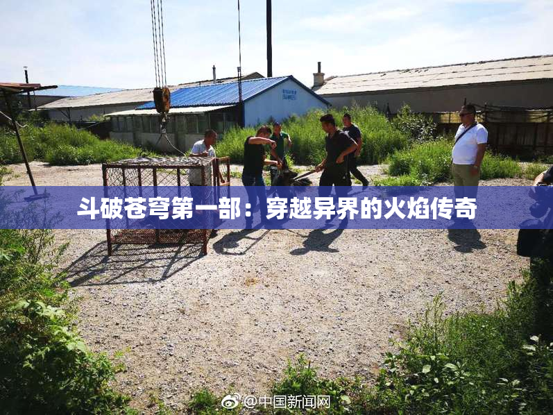 斗破苍穹第一部：穿越异界的火焰传奇