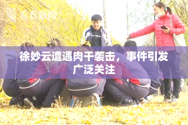 徐妙云遭遇肉干袭击，事件引发广泛关注