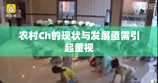 农村Ch的现状与发展亟需引起重视