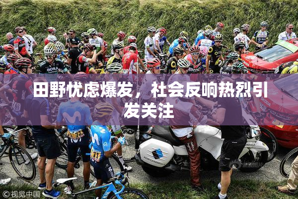 田野忧虑爆发，社会反响热烈引发关注