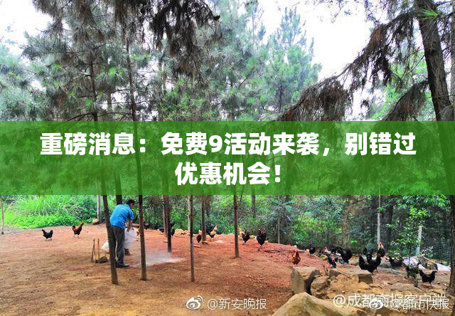 重磅消息：免费9活动来袭，别错过优惠机会！