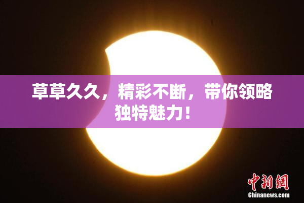草草久久，精彩不断，带你领略独特魅力！