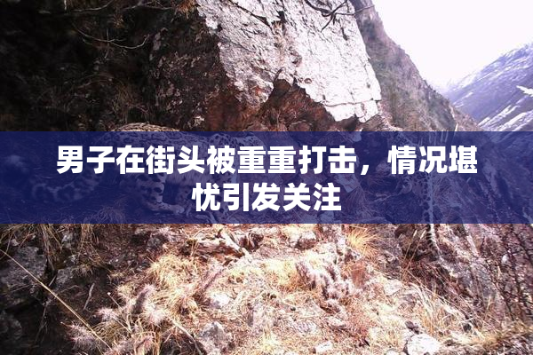 男子在街头被重重打击，情况堪忧引发关注