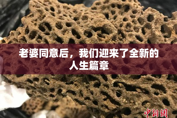 老婆同意后，我们迎来了全新的人生篇章