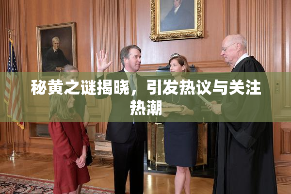 秘黄之谜揭晓，引发热议与关注热潮
