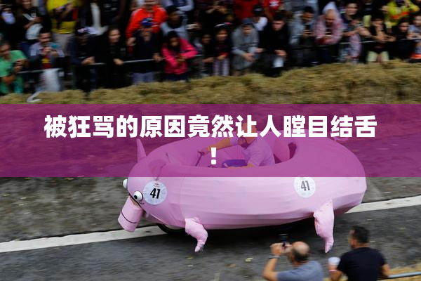 被狂骂的原因竟然让人瞠目结舌！