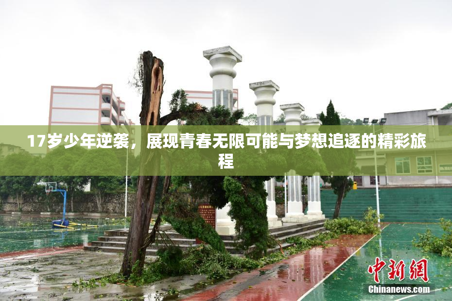 17岁少年逆袭，展现青春无限可能与梦想追逐的精彩旅程
