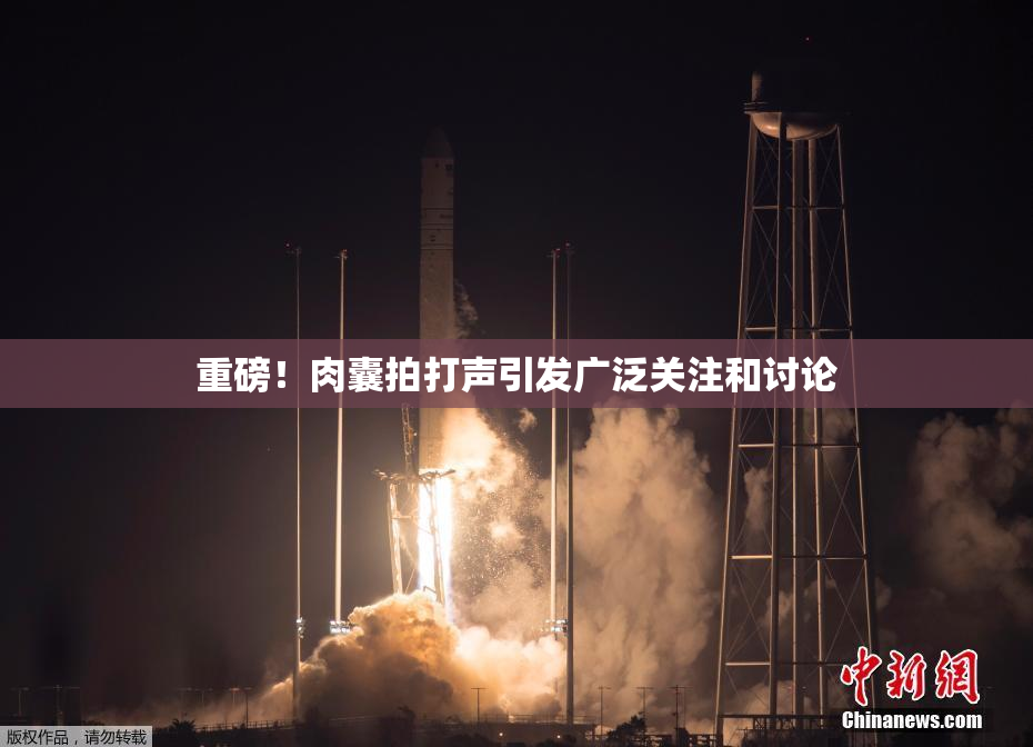 重磅！肉囊拍打声引发广泛关注和讨论