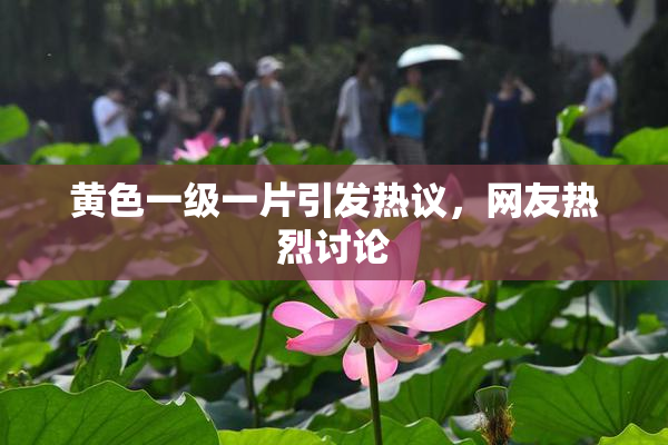 黄色一级一片引发热议，网友热烈讨论