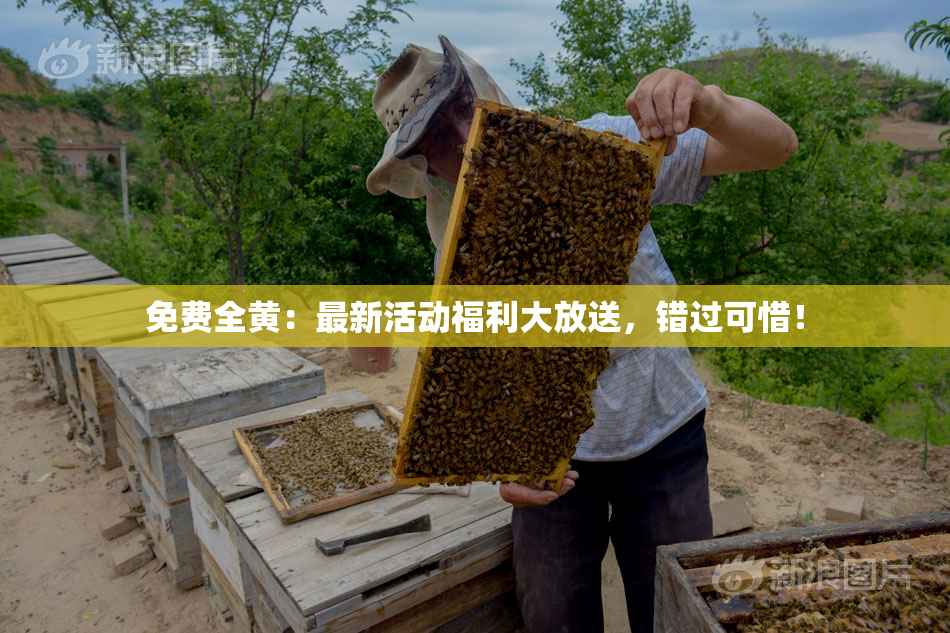 免费全黄：最新活动福利大放送，错过可惜！