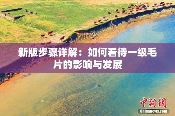 新版步骤详解：如何看待一级毛片的影响与发展