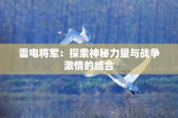 雷电将军：探索神秘力量与战争激情的结合