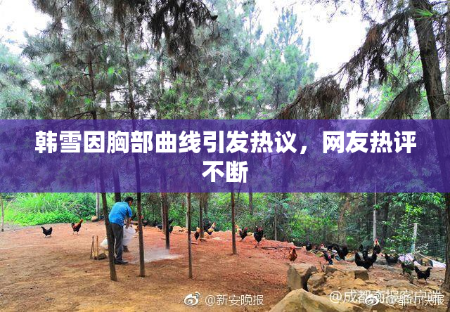 韩雪因胸部曲线引发热议，网友热评不断
