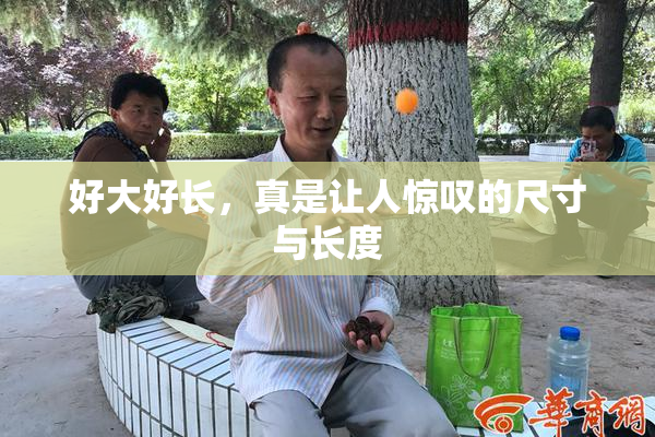 好大好长，真是让人惊叹的尺寸与长度