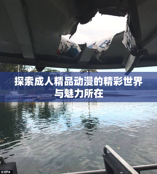 探索成人精品动漫的精彩世界与魅力所在