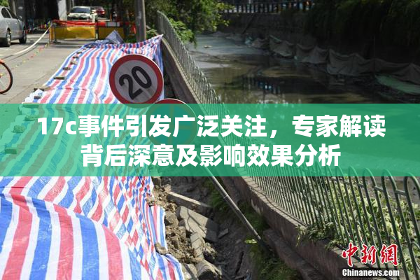 17c事件引发广泛关注，专家解读背后深意及影响效果分析