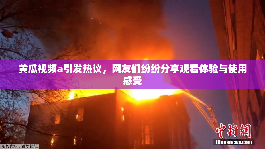 黄瓜视频a引发热议，网友们纷纷分享观看体验与使用感受