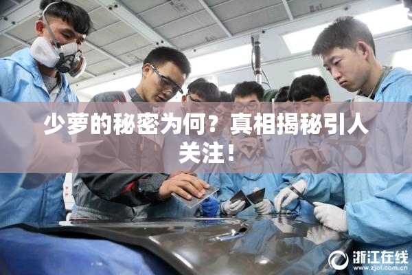 少萝的秘密为何？真相揭秘引人关注！