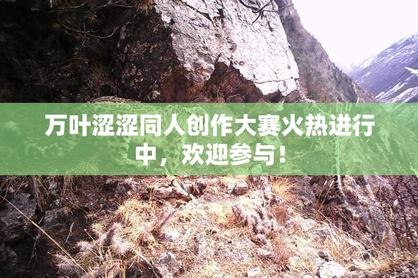 万叶涩涩同人创作大赛火热进行中，欢迎参与！