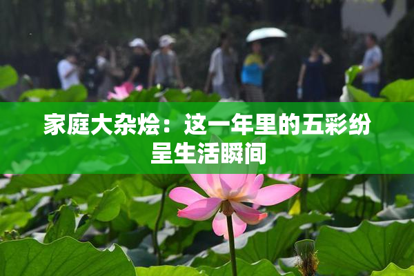 家庭大杂烩：这一年里的五彩纷呈生活瞬间