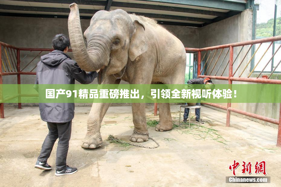 国产91精品重磅推出，引领全新视听体验！