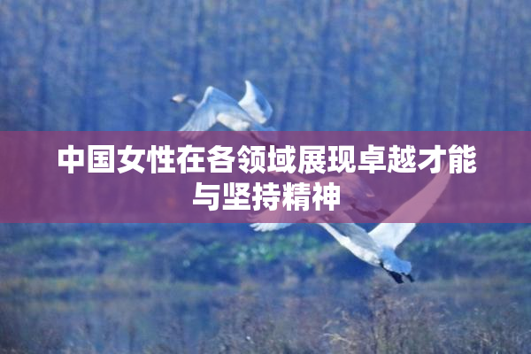 中国女性在各领域展现卓越才能与坚持精神