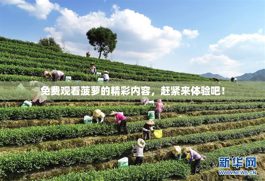 免费观看菠萝的精彩内容，赶紧来体验吧！