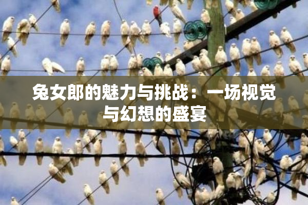 兔女郎的魅力与挑战：一场视觉与幻想的盛宴