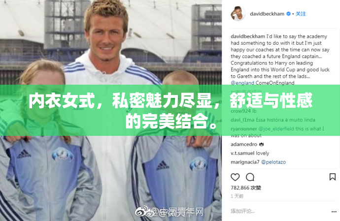 内衣女式，私密魅力尽显，舒适与性感的完美结合。