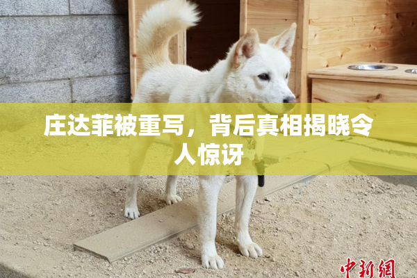 庄达菲被重写，背后真相揭晓令人惊讶