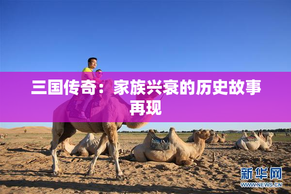 三国传奇：家族兴衰的历史故事再现