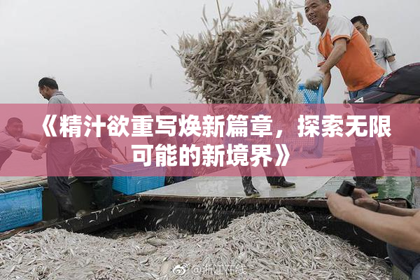 《精汁欲重写焕新篇章，探索无限可能的新境界》