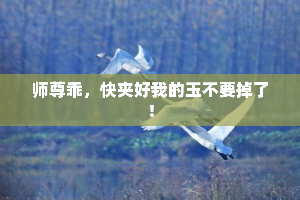 师尊乖，快夹好我的玉不要掉了！