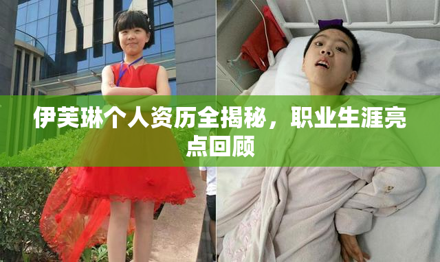 伊芙琳个人资历全揭秘，职业生涯亮点回顾