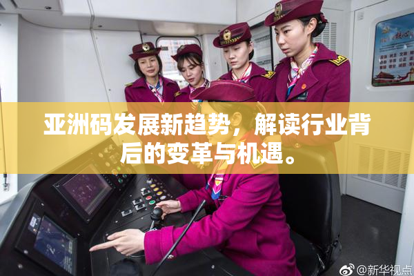 亚洲码发展新趋势，解读行业背后的变革与机遇。