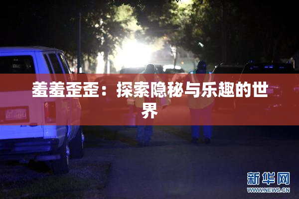 羞羞歪歪：探索隐秘与乐趣的世界