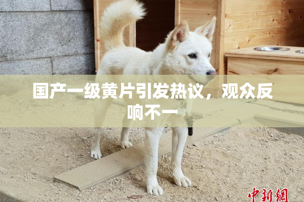 国产一级黄片引发热议，观众反响不一