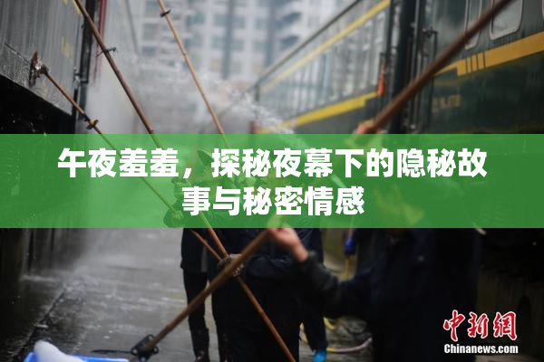 午夜羞羞，探秘夜幕下的隐秘故事与秘密情感