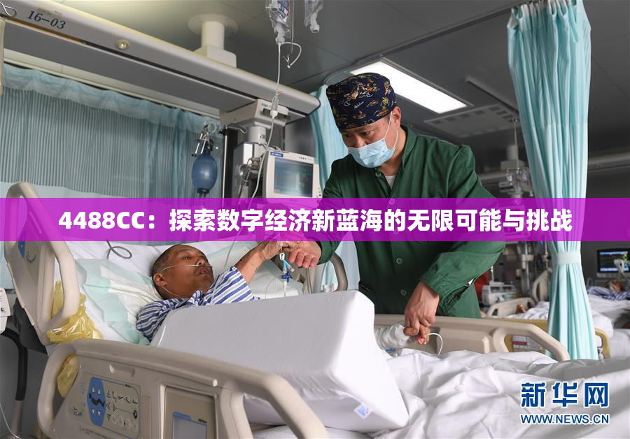4488CC：探索数字经济新蓝海的无限可能与挑战