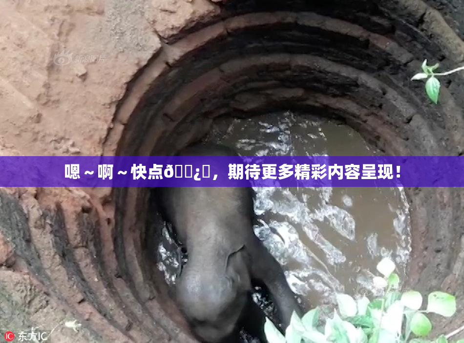 嗯～啊～快点🌿‌，期待更多精彩内容呈现！