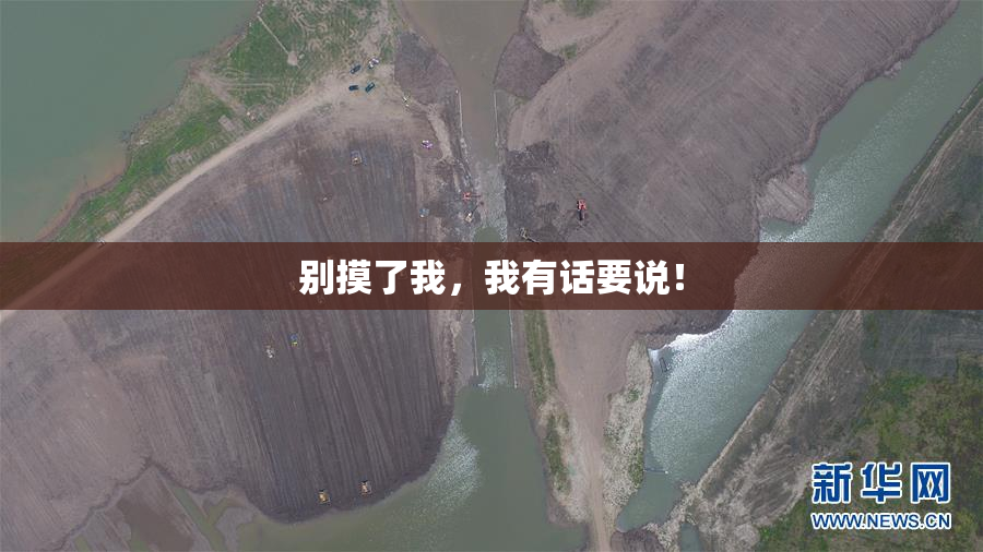别摸了我，我有话要说！