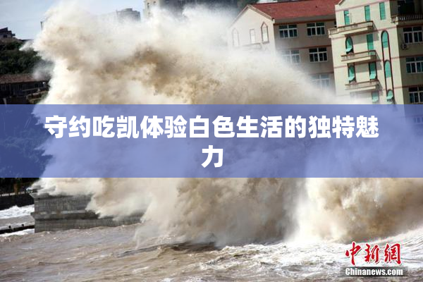 守约吃凯体验白色生活的独特魅力