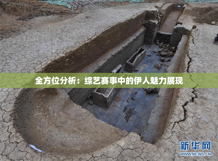 全方位分析：综艺赛事中的伊人魅力展现