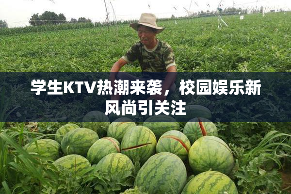 学生KTV热潮来袭，校园娱乐新风尚引关注