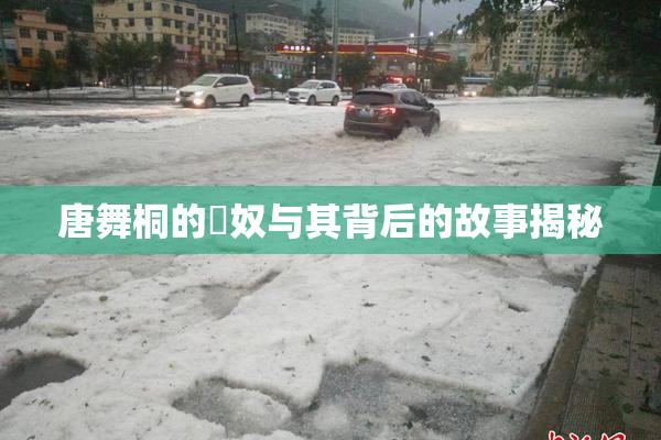 唐舞桐的婬奴与其背后的故事揭秘