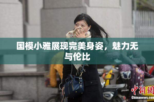 国模小雅展现完美身姿，魅力无与伦比
