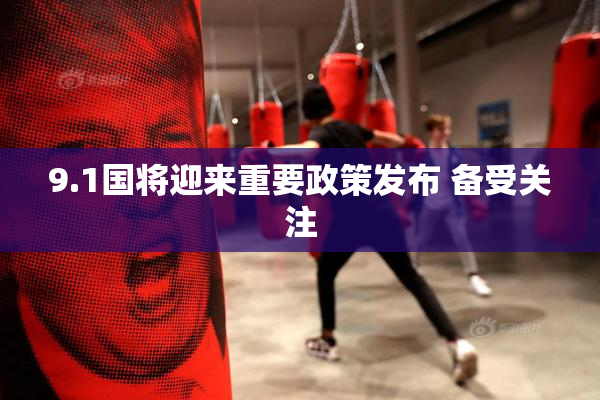 9.1国将迎来重要政策发布 备受关注